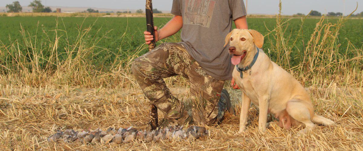 Hunting dog sitting with hunter in fron of dead mourning doves