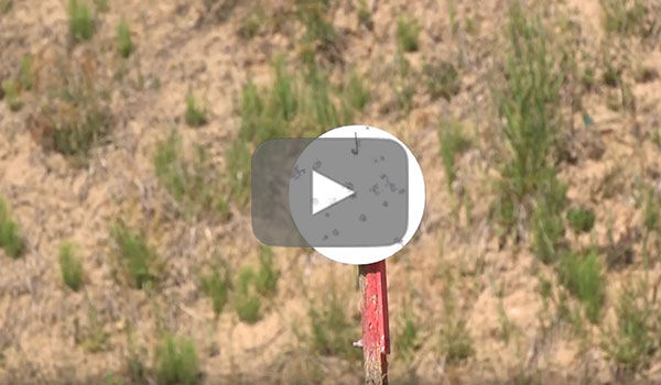 Target at a range