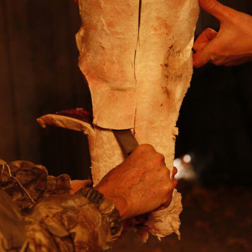 Two men making an incision just above the pelvic one on a deer leg