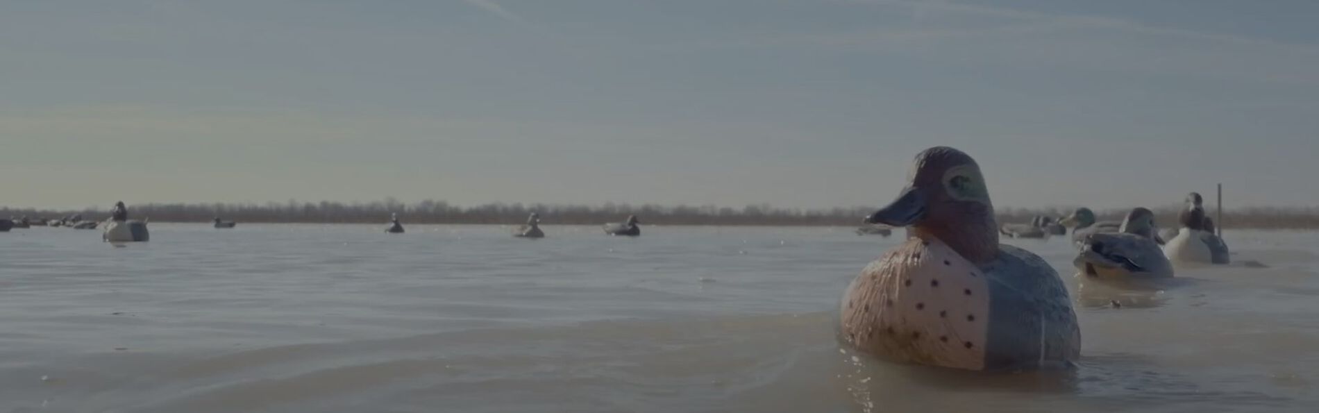 Decoys floating on a pond