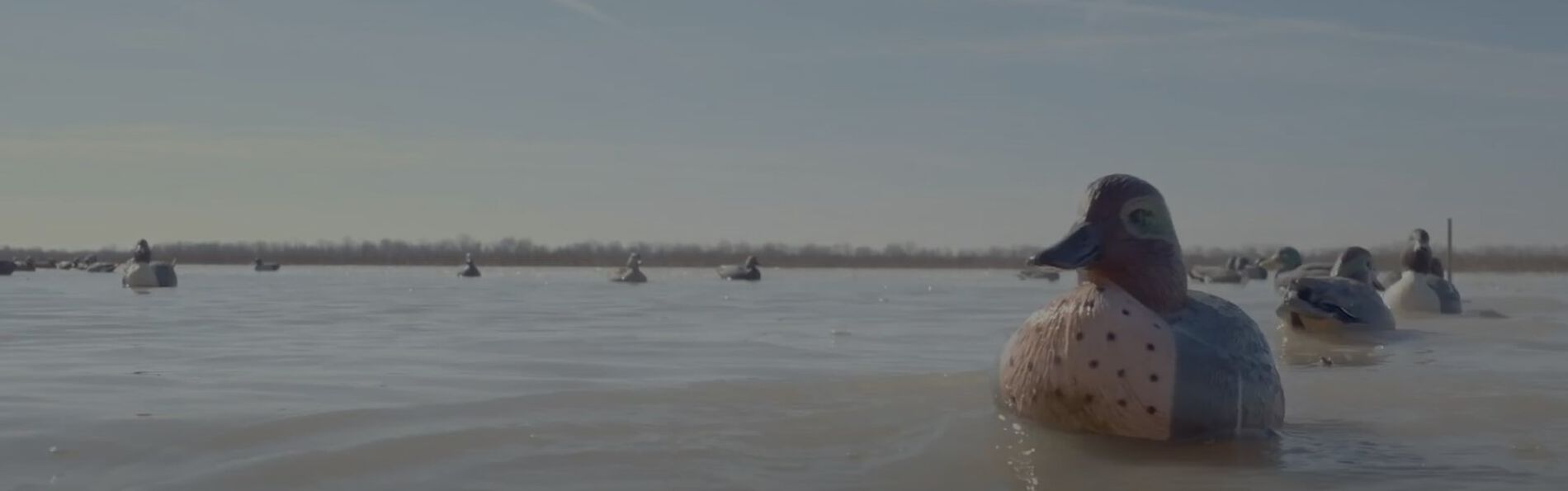 Decoys floating on a pond