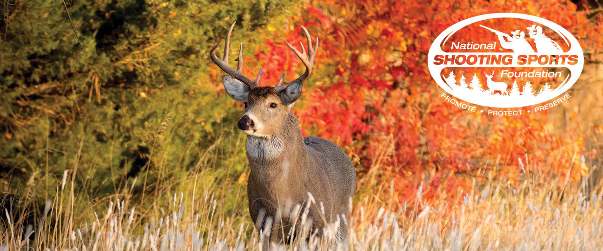 White-tail deer with NSSM logo