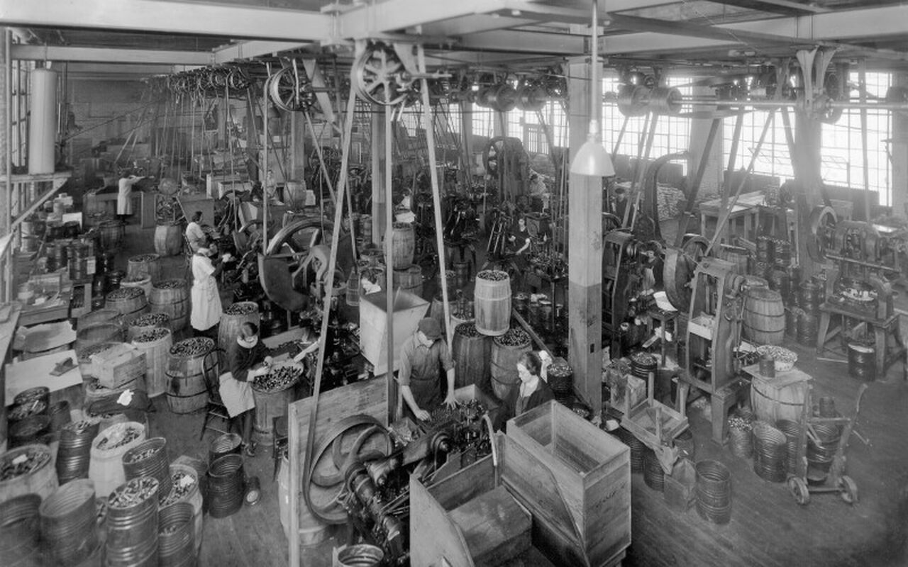 belt driven machines in the plant