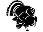 turkey icon