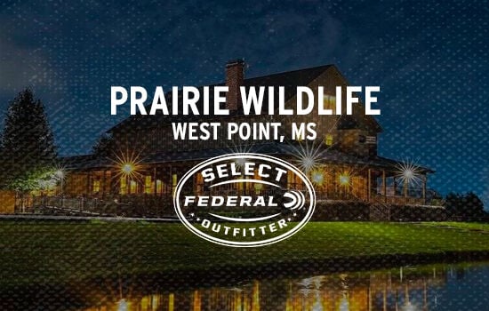 Prairie Wildlife