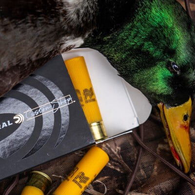 dead mallard laying next to an open box of Custom Shop Shotshell