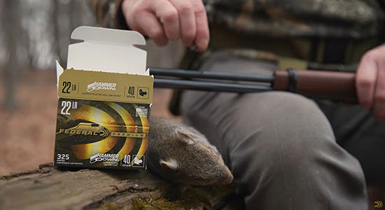 hunter loading HammerDown Rimfire into lever action rifle next to a dead squirrel