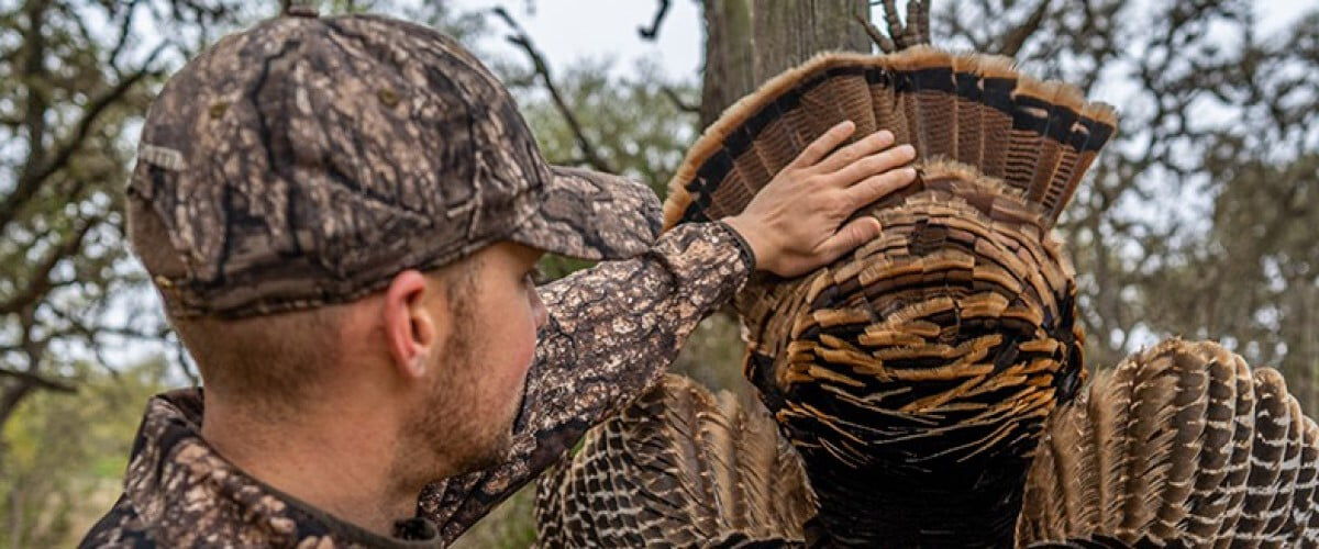 hunter looking at the feathers of a turkey