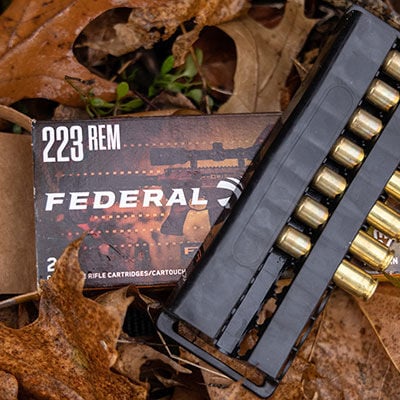 Federal Fusion box with a loaded magazine on top