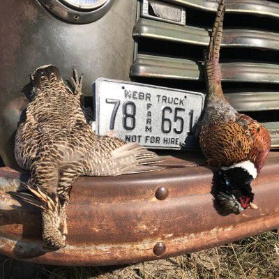 Proven On The Prairie