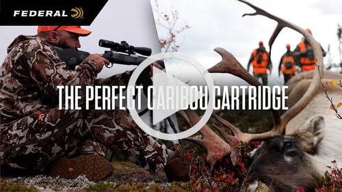 The Perfect Caribou Cartridge; Josh Froelich aiming rifle and hunters walking up on a dead caribou