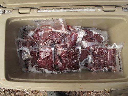 deer meat in a freezer