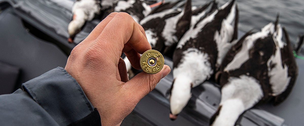 Federal Shotshell and line up of ducks