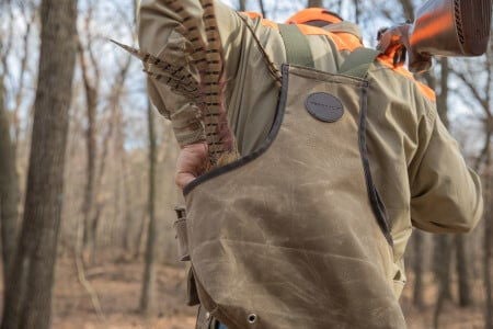 hunter carrying pheasant in the back of his vest