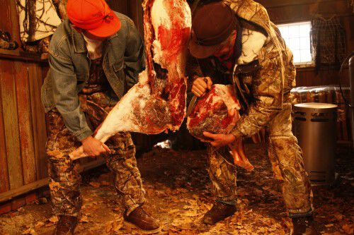 Two men finishing the removal the hind quarter of a deer in a shed