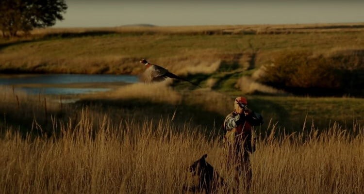 Select The Right Upland Option