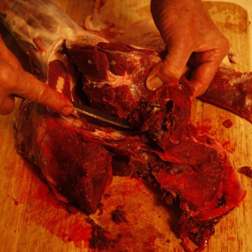 cutting along the scapula to peel off the deer meat