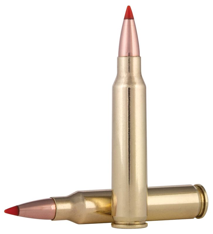 Varmint &amp; Predator, 223 Rem, 53 Grain, Hornady&reg; V-Max&reg;, 3400 fps