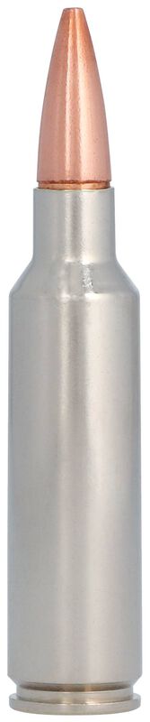 Barnes TSX, 300 WSM, 165 Grain, Barnes Triple-Shock X Bullet (TSX), 3130 fps