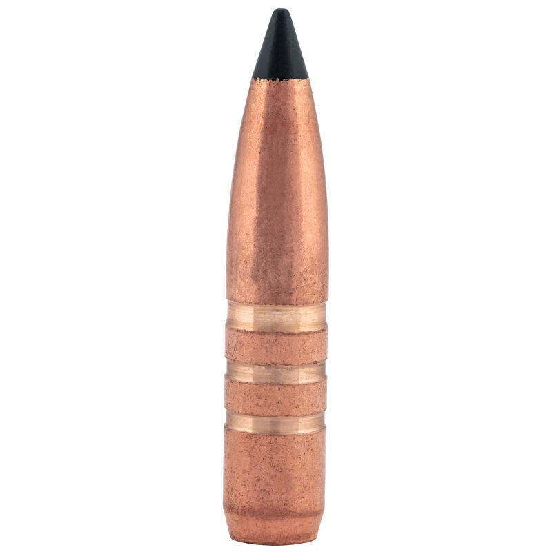 Buy Custom Rifle Ammo 6.25x284 Norma FCS65284TC1 for USD 109.99 ...