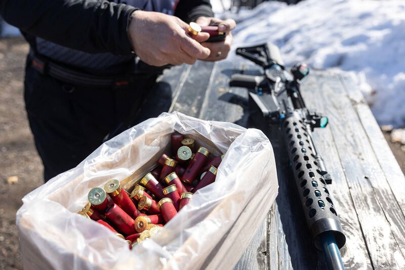 Federal Action Shotgun, 12 Gauge, 7.5 Shot, 2-3/4 in, 1.125 oz, 1235 fps