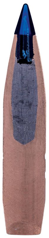 Terminal Ascent, 300 Win Mag, 200 Grain, Terminal Ascent, 2810 fps