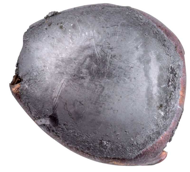 Power-Shok Rifle, 243 Win, 100 Grain, Jacketed Soft Point, 2960 fps