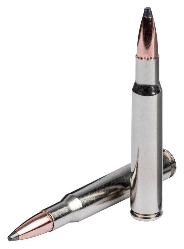 Nosler Partition, 30-06 Springfield, 165 Grain, Nosler Partition, 2830 fps