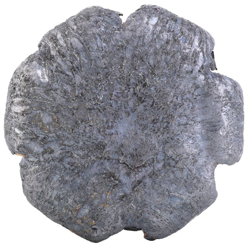 Terminal Ascent Handgun, 10mm Auto, 203 Grain, Terminal Ascent JHP, 1130 fps