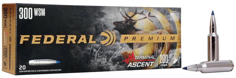 Terminal Ascent, 300 WSM, 200 Grain, Terminal Ascent, 2810 fps