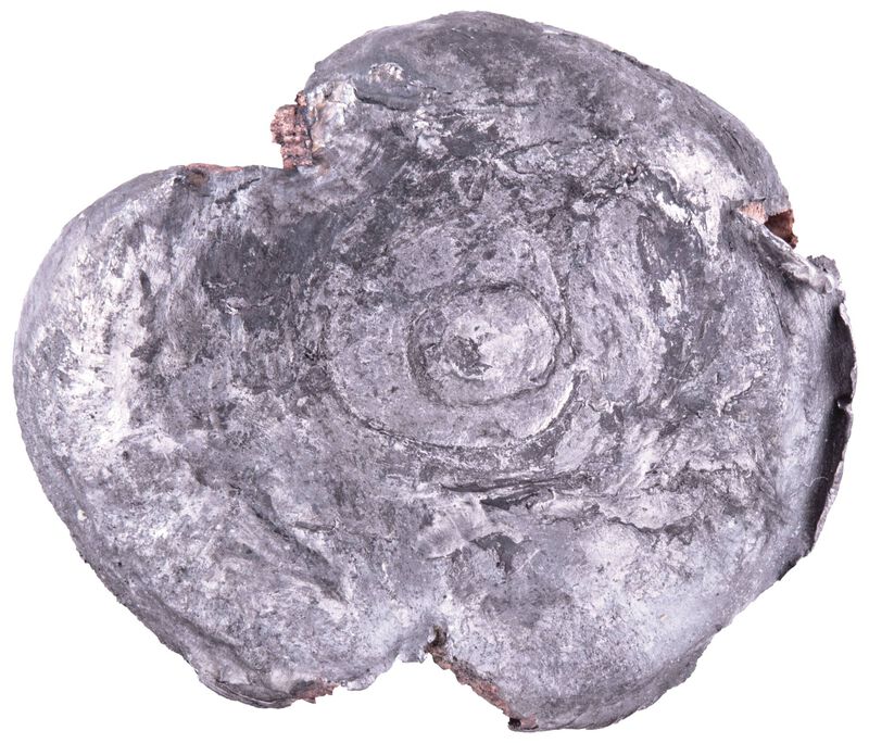 Swift Scirocco II, 6.5 Creedmoor, 130 Grain, Swift Scirocco, 2800 fps