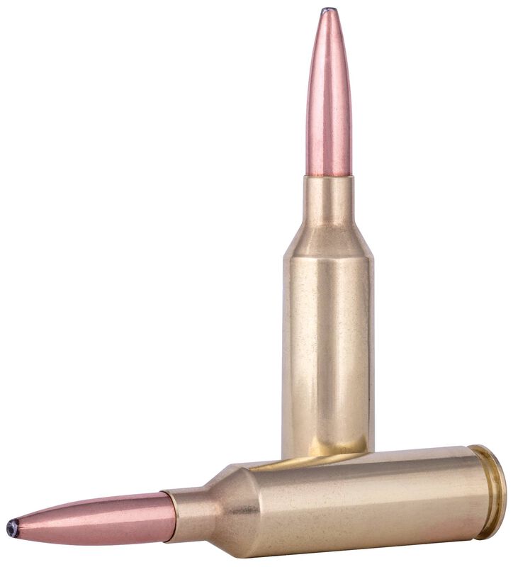 Fusion Rifle, 6.5 PRC, 140 Grain, Fusion Soft Point, 2925 fps