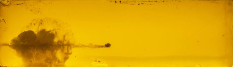 Varmint &amp; Predator, 6.5 Creedmoor, 95 Grain, Hornady&reg; V-Max&reg;, 3300 fps