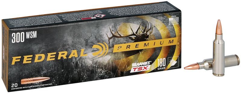 Barnes TSX, 300 WSM, 180 Grain, Barnes Triple-Shock X Bullet (TSX), 2980 fps