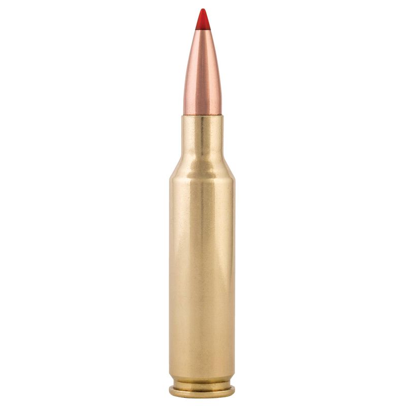 Varmint &amp; Predator, 6.5 Creedmoor, 95 Grain, Hornady&reg; V-Max&reg;, 3300 fps