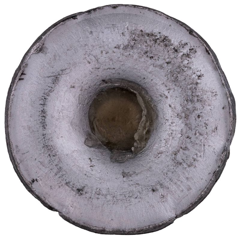 Train + Protect, 38 Special, 158 Grain, Versatile Hollow Point, 830 fps