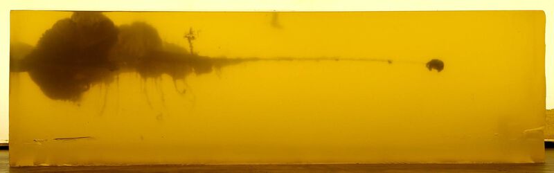 Fusion Rifle, 450 Bushmaster, 260 Grain, Fusion Soft Point, 2200 fps