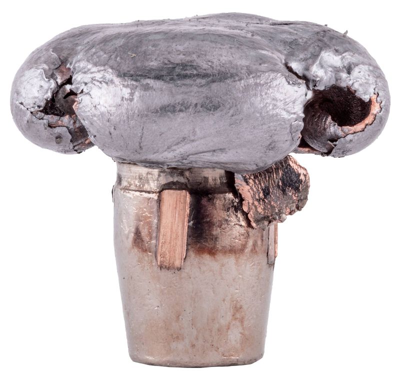 Terminal Ascent, 270 Win, 136 Grain, Terminal Ascent, 3000 fps