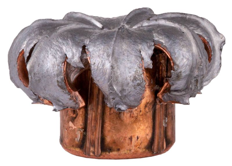 Power-Shok Rifle, 450 Bushmaster, 300 Grain, Soft Point, 1900 fps