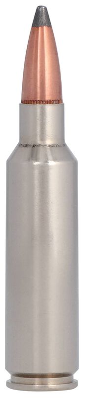 Nosler Partition, 300 WSM, 180 Grain, Nosler Partition, 2980 fps