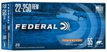 Power-Shok Rifle, 22-250 Rem, 55 Grain, Jacketed Soft Point, 3650 fps