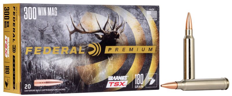 Barnes TSX, 300 Win Mag, 180 Grain, Barnes Triple-Shock X Bullet &#40;TSX&#41;, 2960 fps
