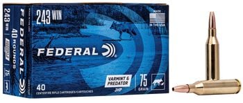 Varmint & Predator, 243 Win, 75 Grain, Jacketed Hollow Point, 3375 fps
