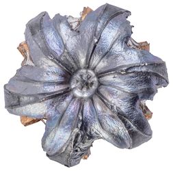 Personal Defense HST, 30 Super Carry, 100 Grain, HST Jacketed Hollow Point, 1250 fps