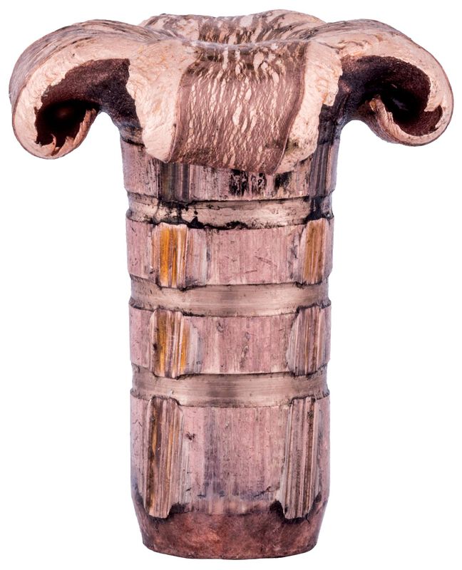 Trophy Copper, 280 Ackley Improved, 140 Grain, Trophy Copper, 3075 fps