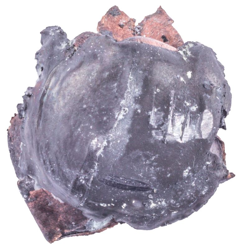 Varmint &amp; Predator, 6.5 Creedmoor, 95 Grain, Hornady&reg; V-Max&reg;, 3300 fps