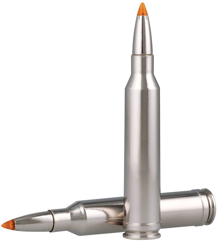 Trophy Bonded Tip, 7mm Rem Mag, 160 Grain, Trophy Bonded Tip, 2900 fps