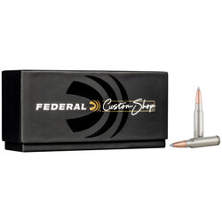 Custom Rifle Ammo 308 Win