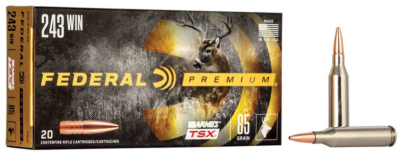 Barnes TSX, 243 Win, 85 Grain, Barnes Triple-Shock X Bullet (TSX), 3200 fps