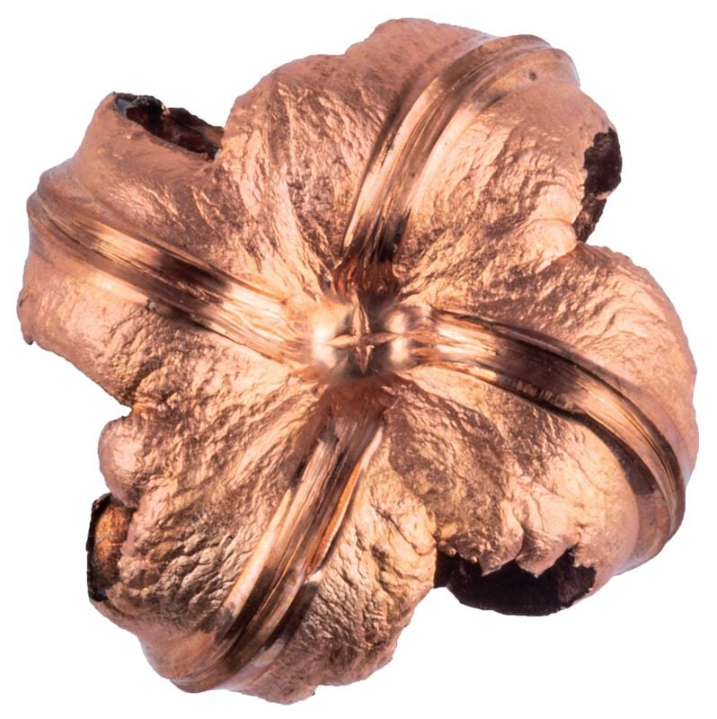 Barnes TSX, 30-06 Springfield, 180 Grain, Barnes Triple-Shock X Bullet (TSX), 2700 fps